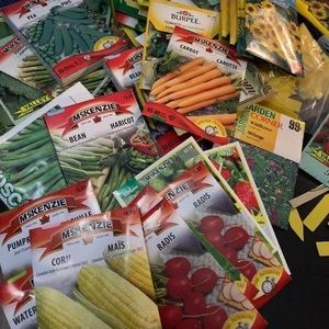 Meet your Posher, Kelly ann